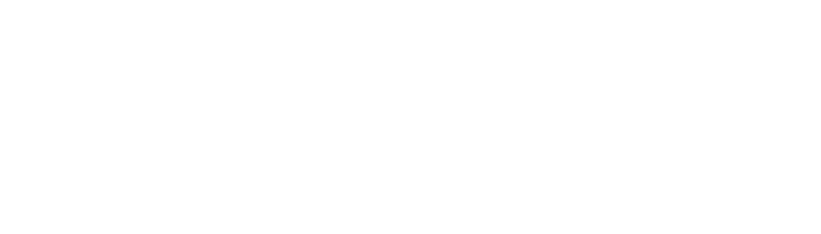 LOGO BENINEO DECLINAISON 197PX X 56PX 03
